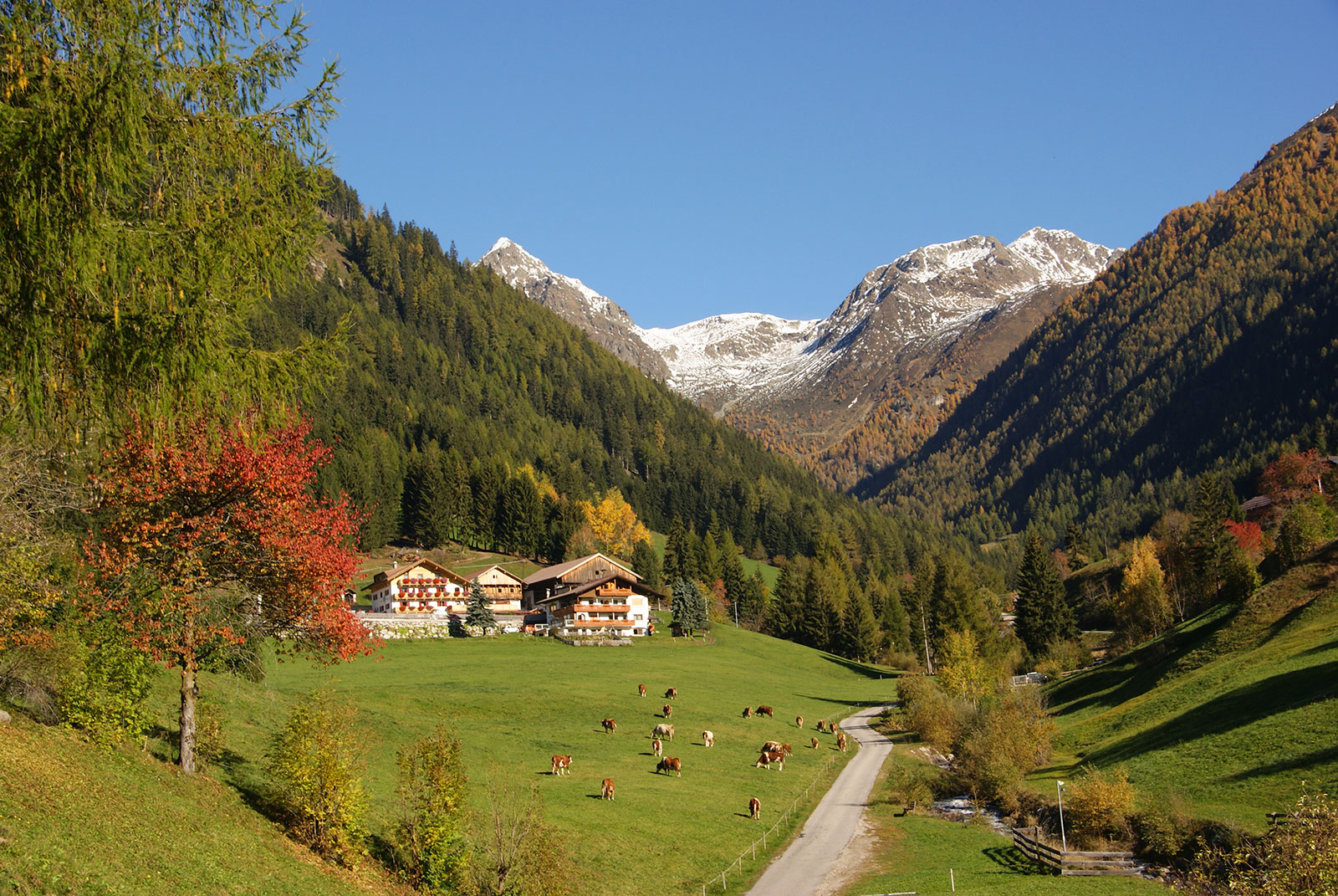 Autumn vacation at the Alpegger